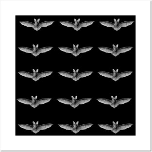 Halloween Bat pattern Posters and Art